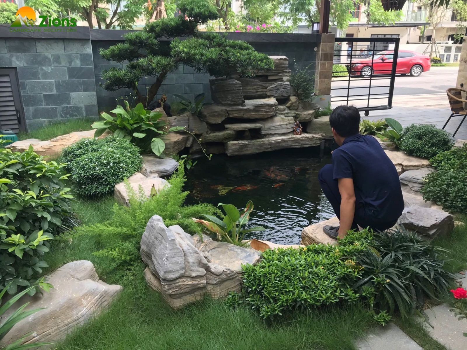 Thi công hồ cá koi tại Gamuda